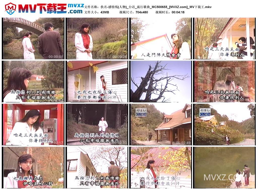 佚名-感情线(人物)_台语_流行歌曲_MC500655